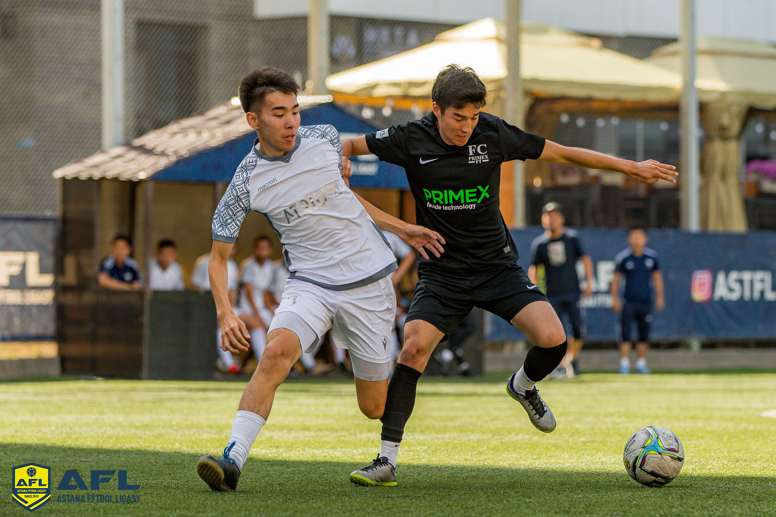 IMG 0141