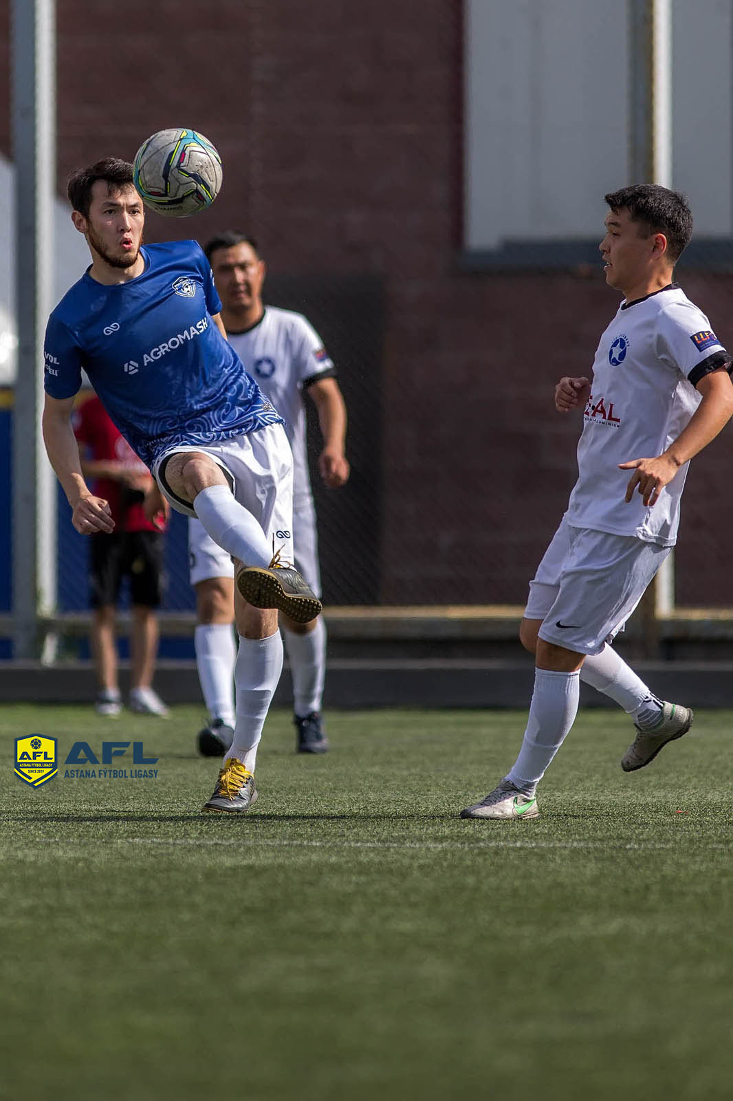 IMG 1960