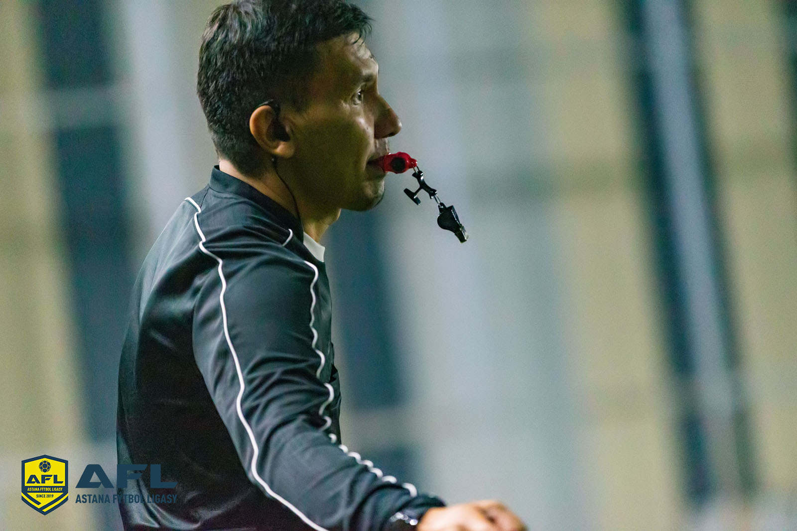 IMG 5278