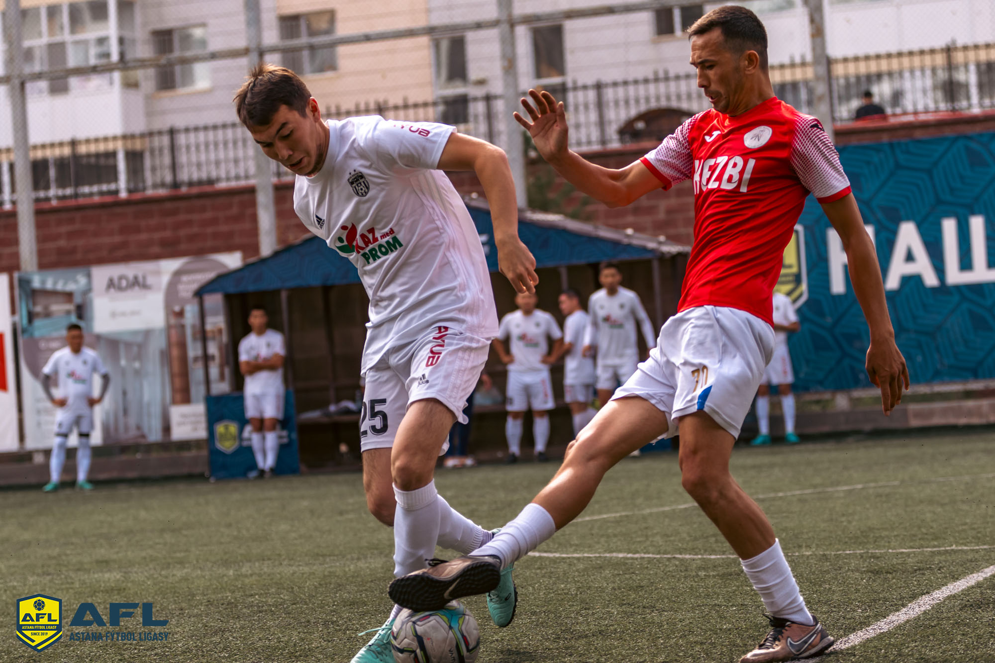 IMG 2071