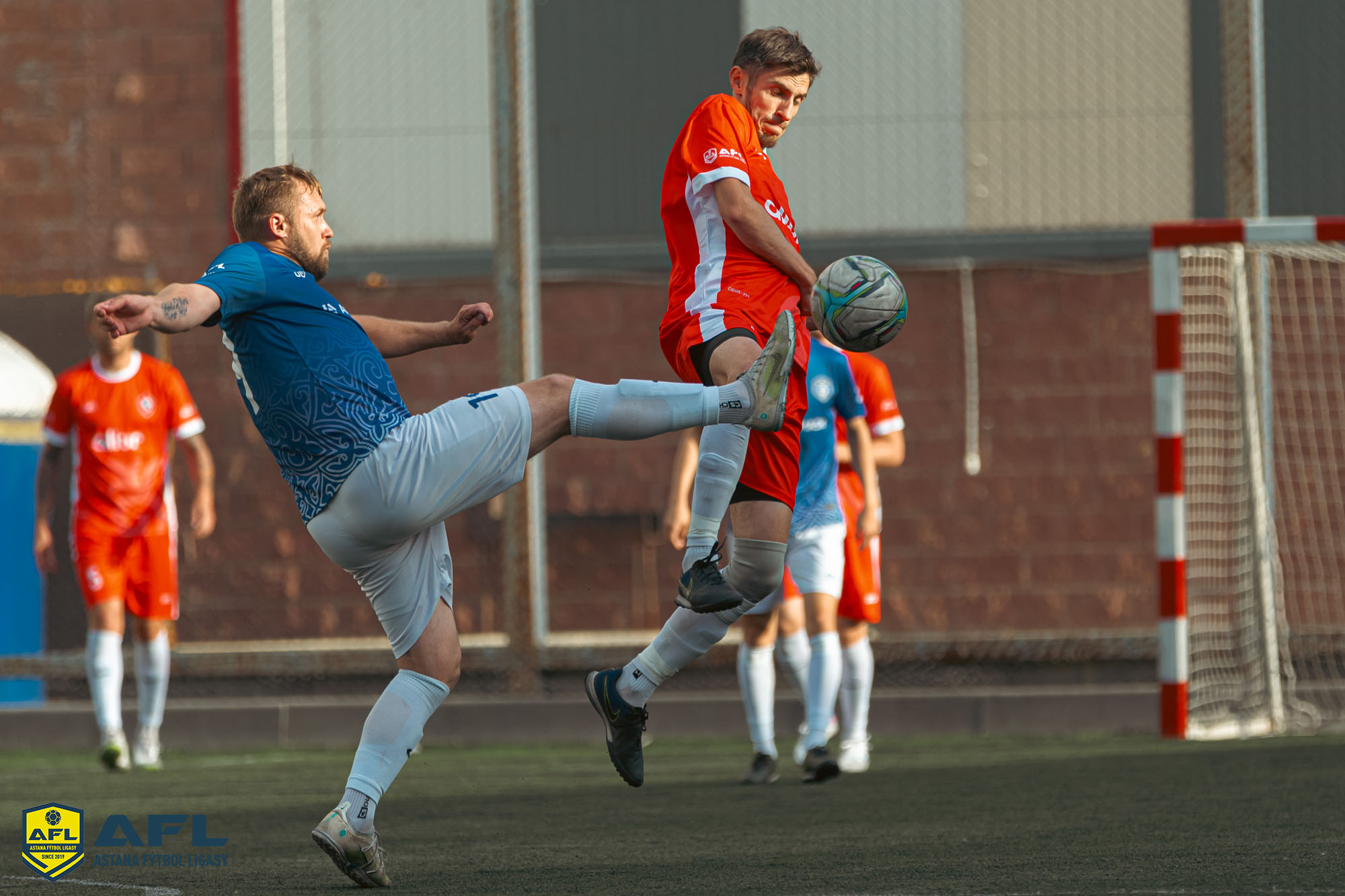 IMG 7817
