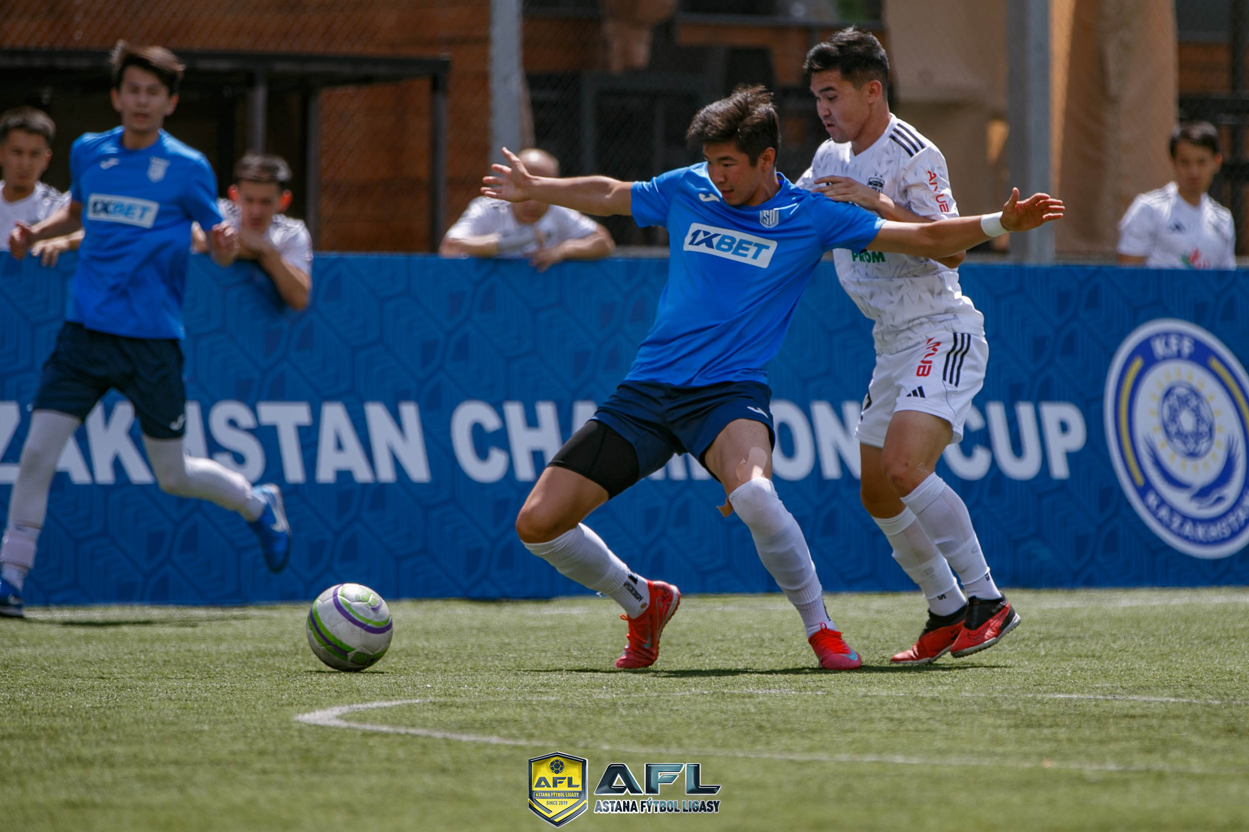 IMG 5538
