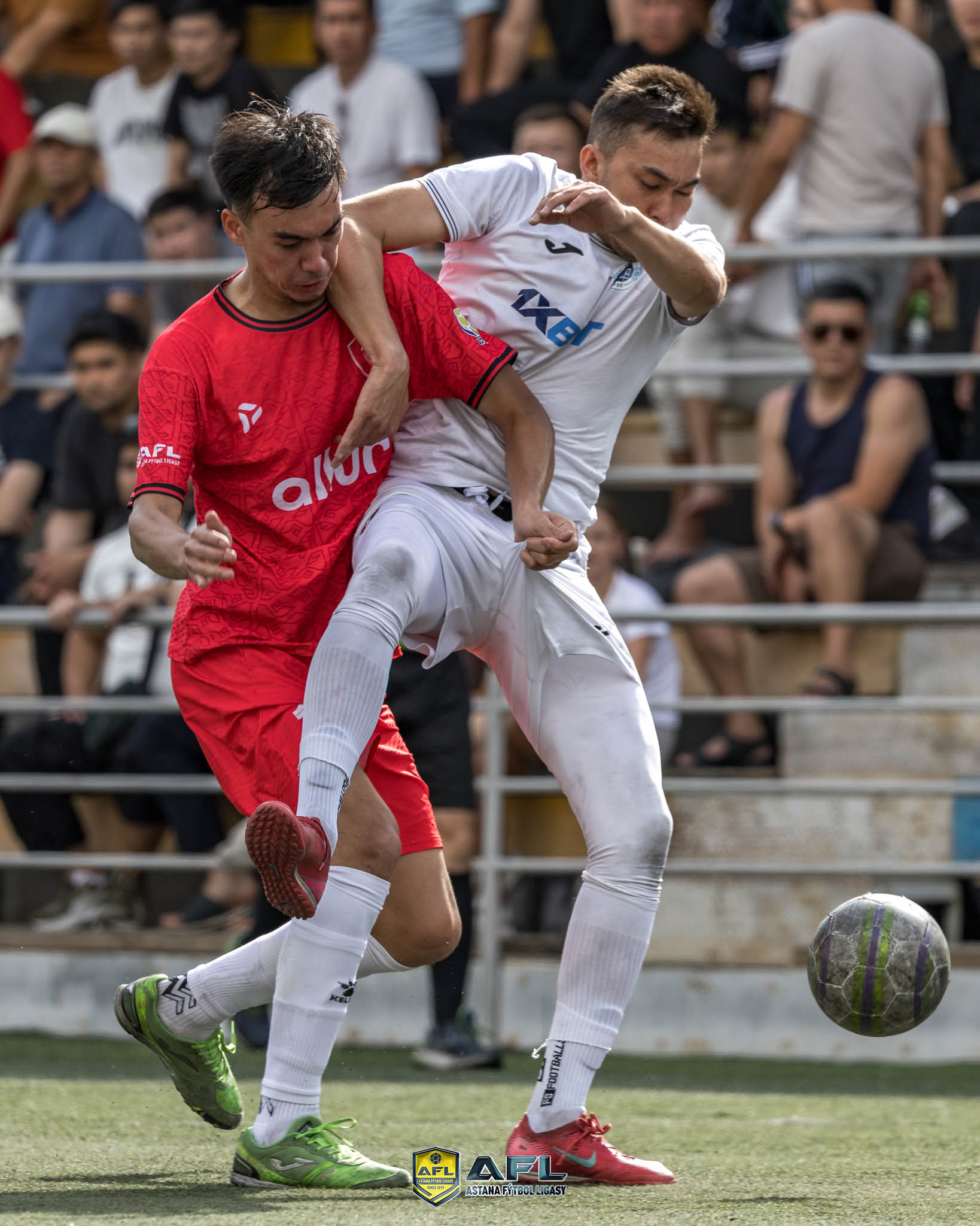 IMG 9973