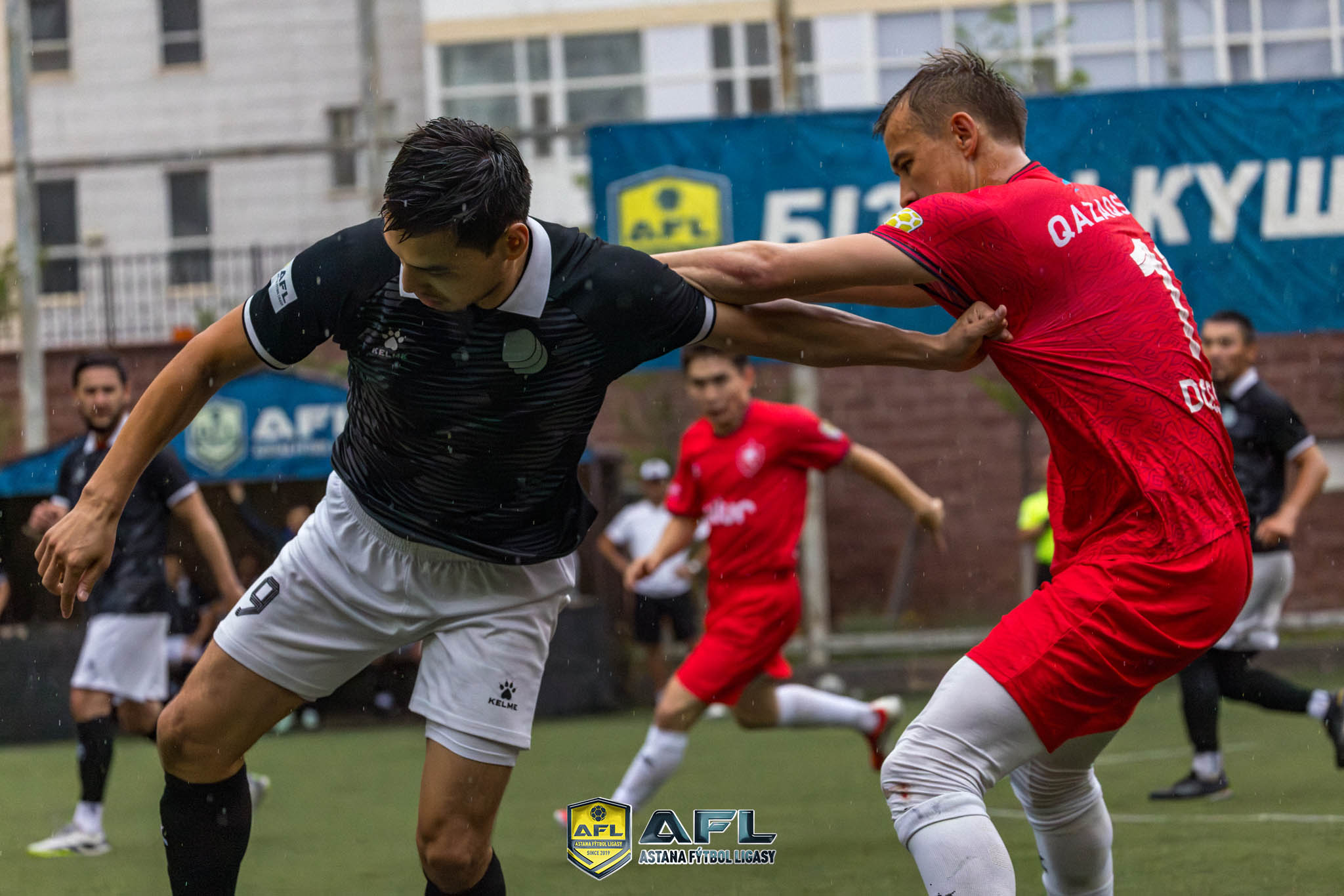 IMG 4681