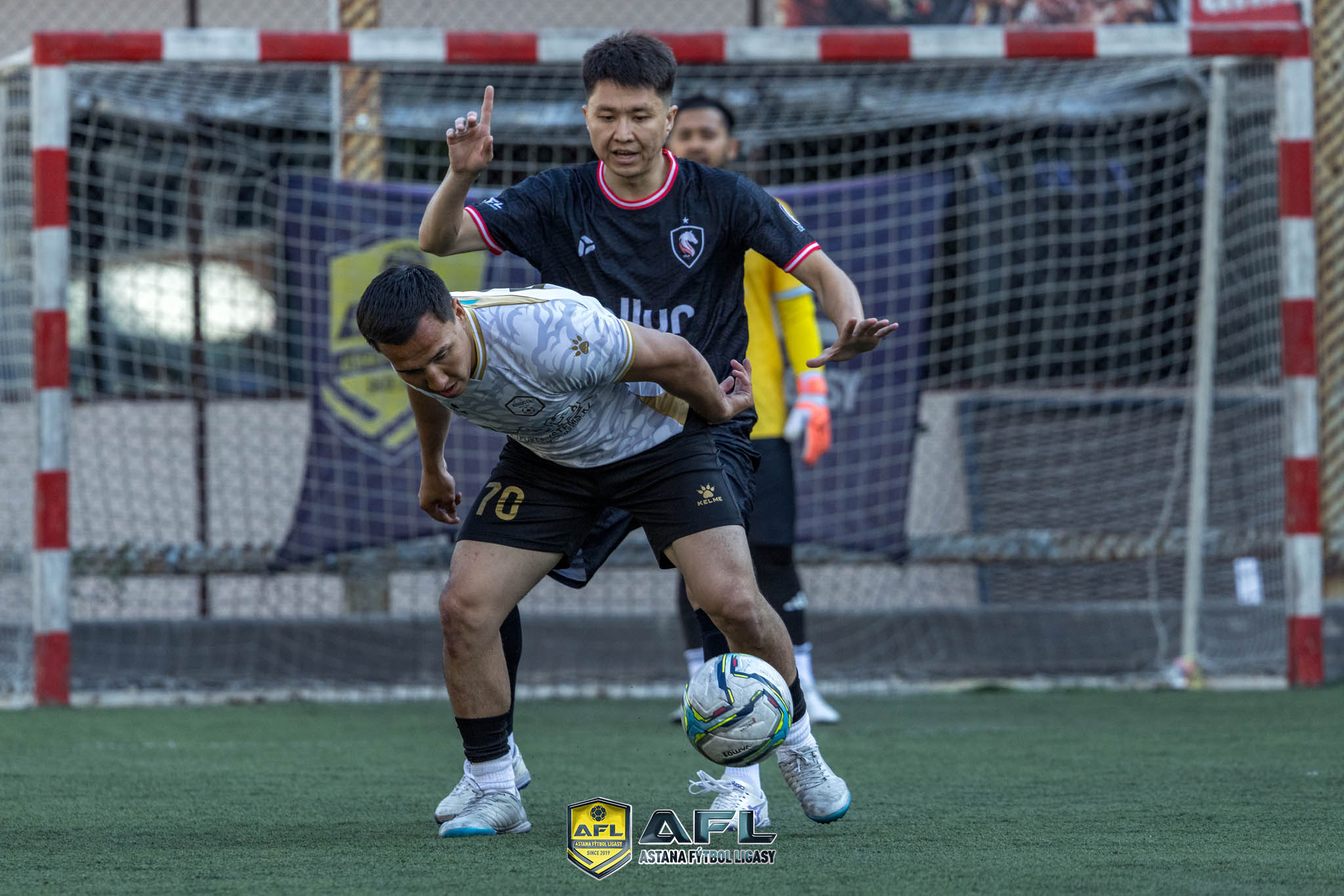 IMG 2231
