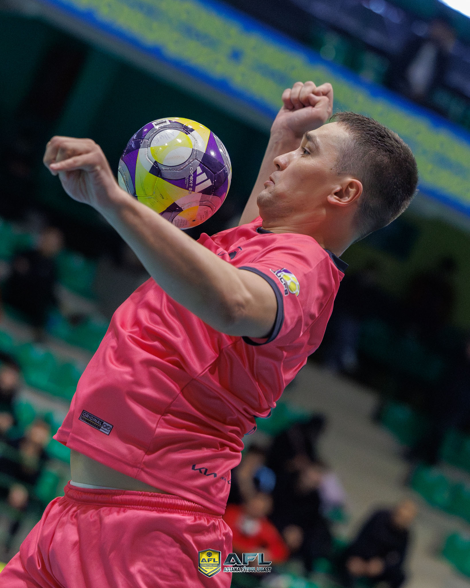 IMG 1490